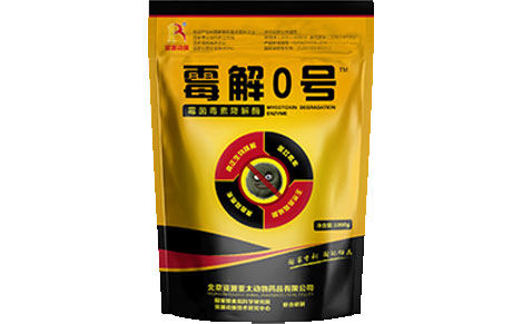 动保01.jpg